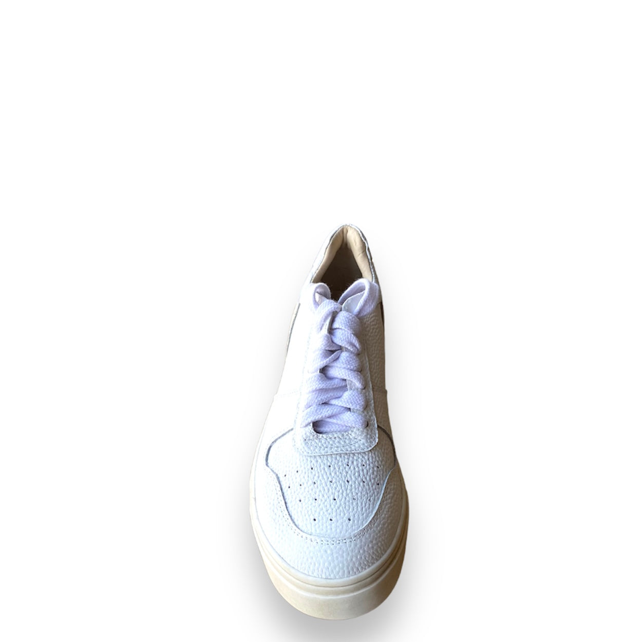 Sneaker Palermo - White New
